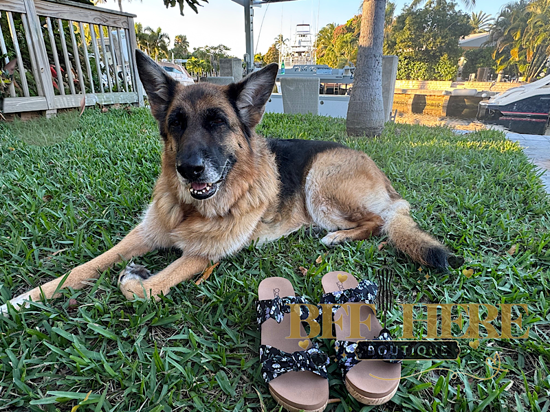 Sittin Pretty — Black Floral by Corkys - BFF Here