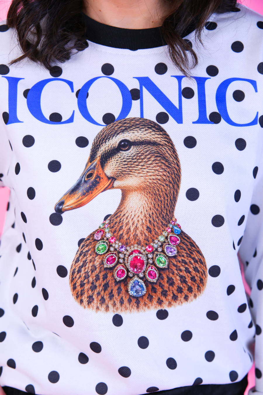 PREORDER: Pretty Wild Pullover / Iconic Duck by Jess Lea (ETA: November)