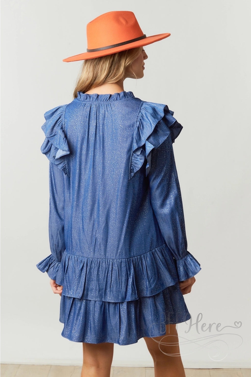 Glistening Starlight Chambray Dress with Delicate Ruffle - BFF Here