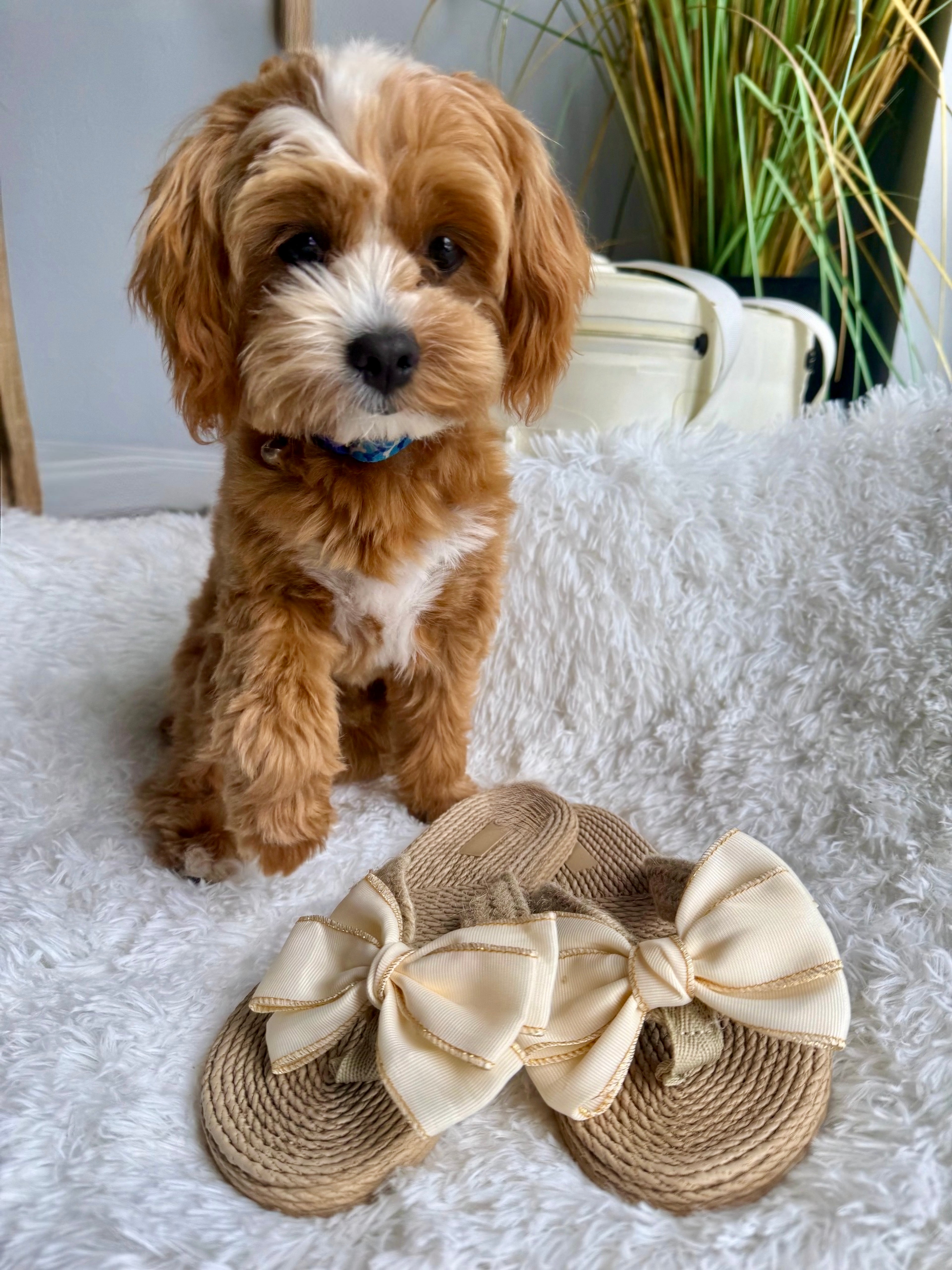 Coastal Charm Bow Sandals - BFF Here