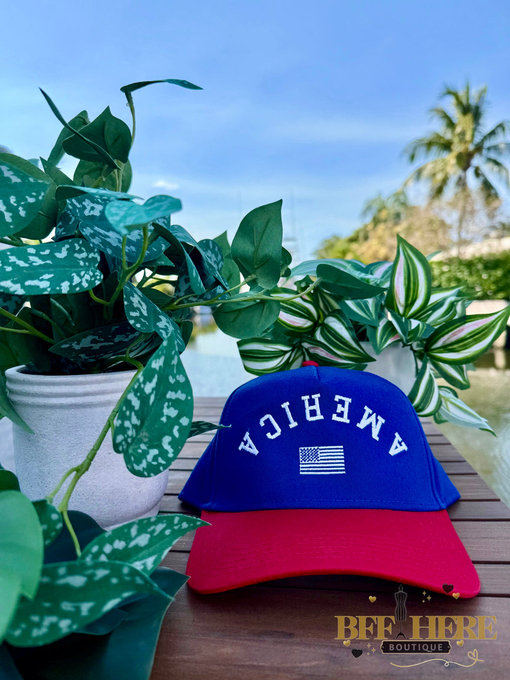 Upside America Cap - BFF Here