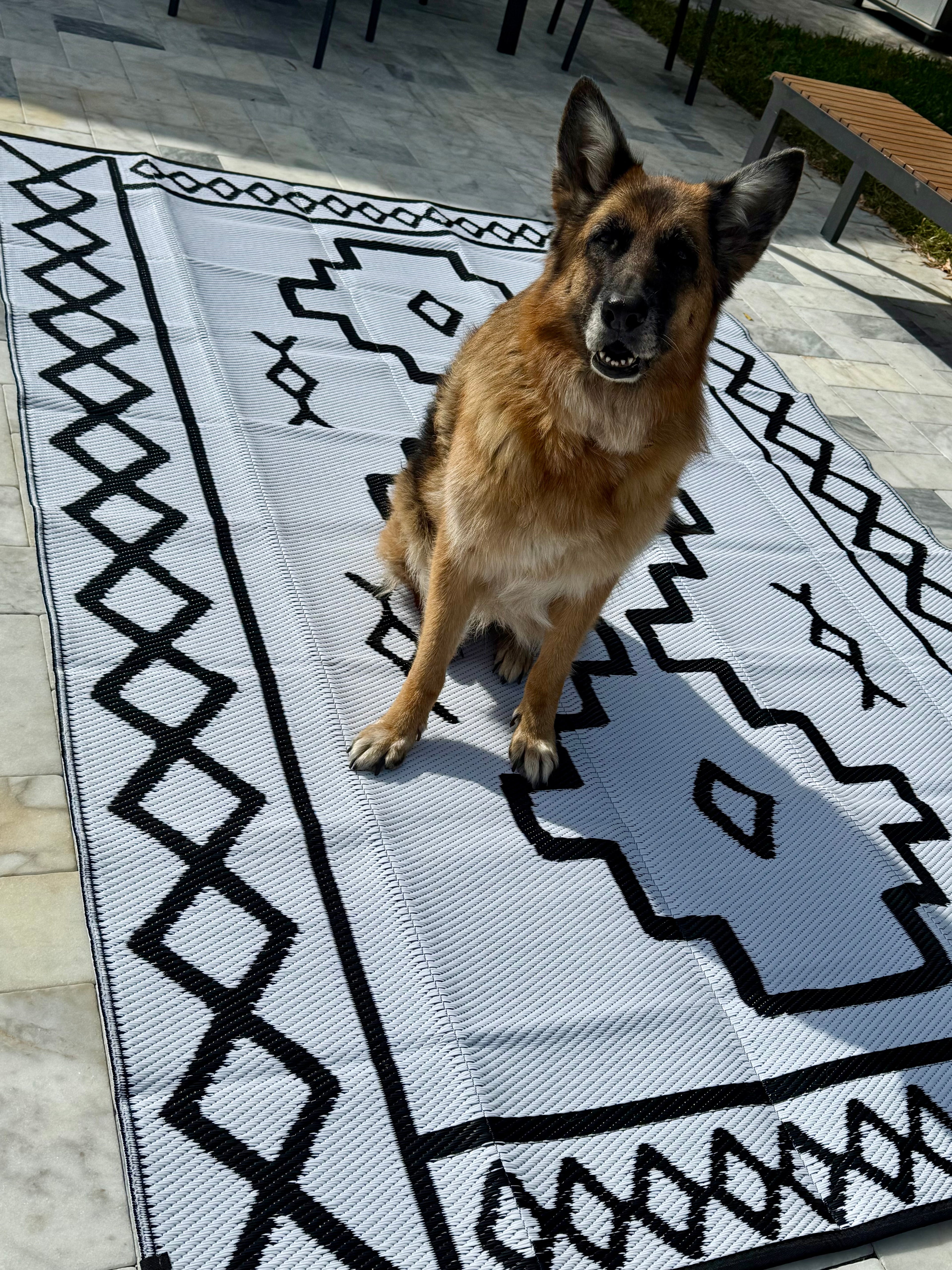 Saddle Up Style Reversible Outdoor Rug - BFF Here