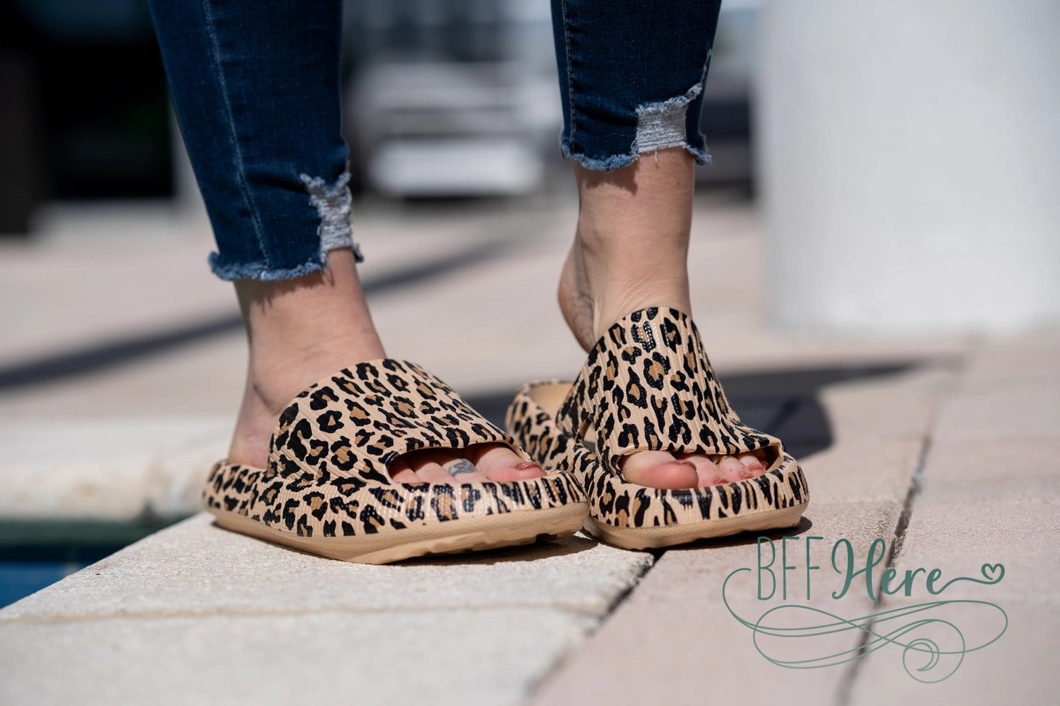 Wildcat Cozy Slides – Fierce Comfort / Brown Leopard - BFF Here