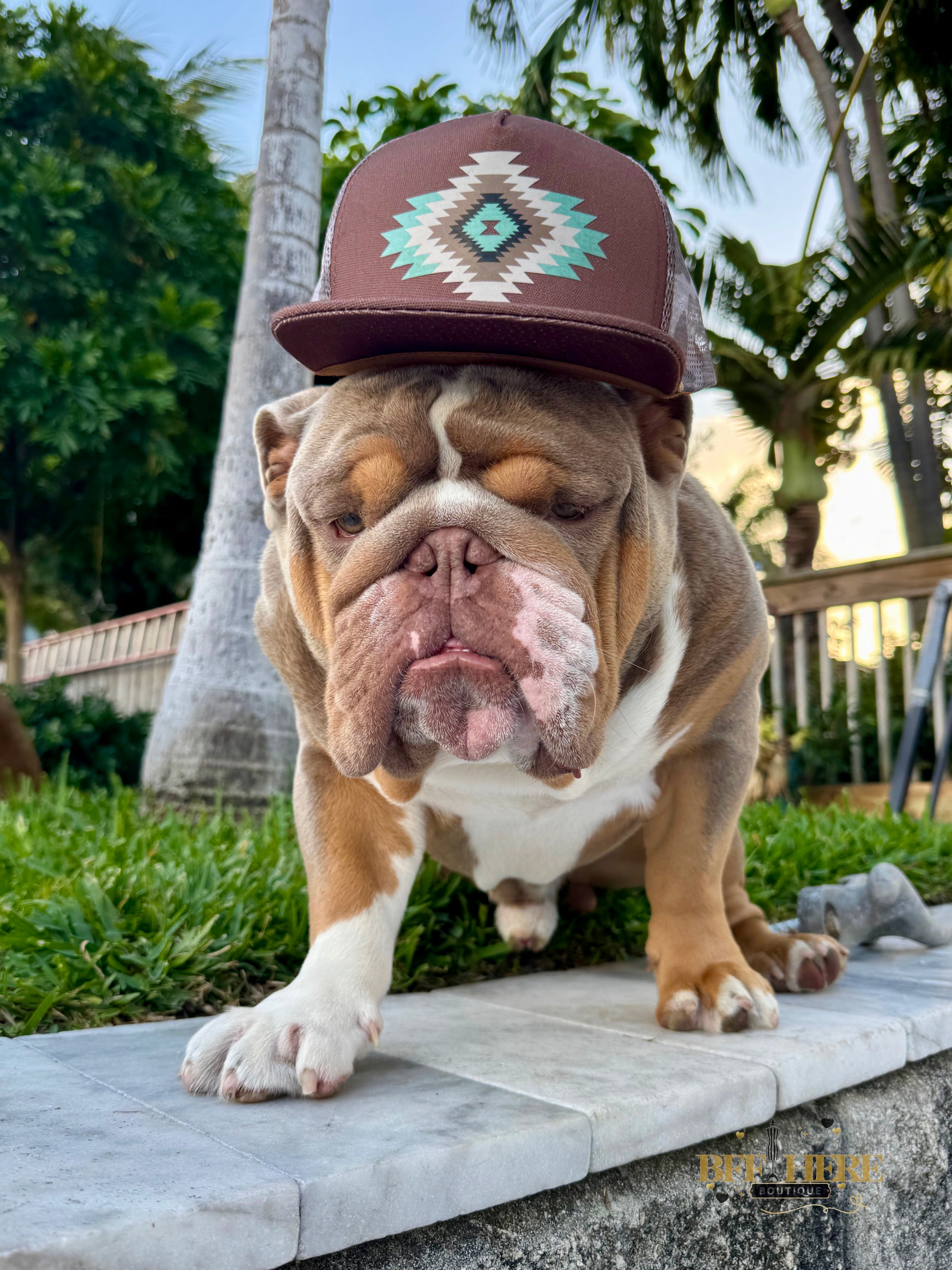 Stay Punchy Hat by Sterling Kreek - BFF Here