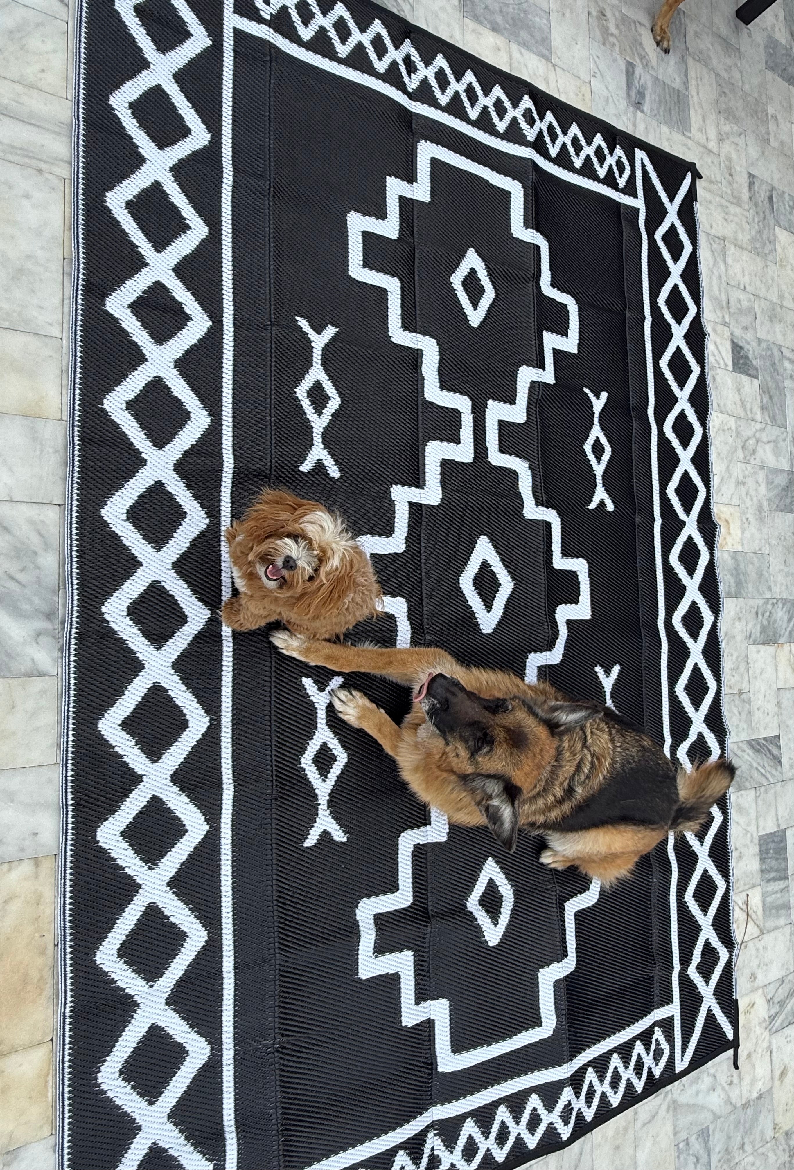 Saddle Up Style Reversible Outdoor Rug - BFF Here
