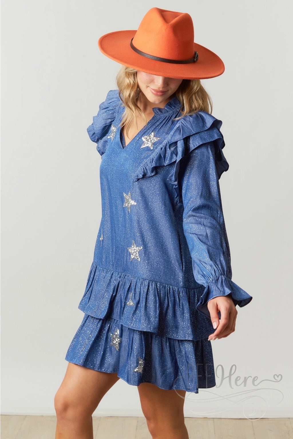 Glistening Starlight Chambray Dress with Delicate Ruffle - BFF Here