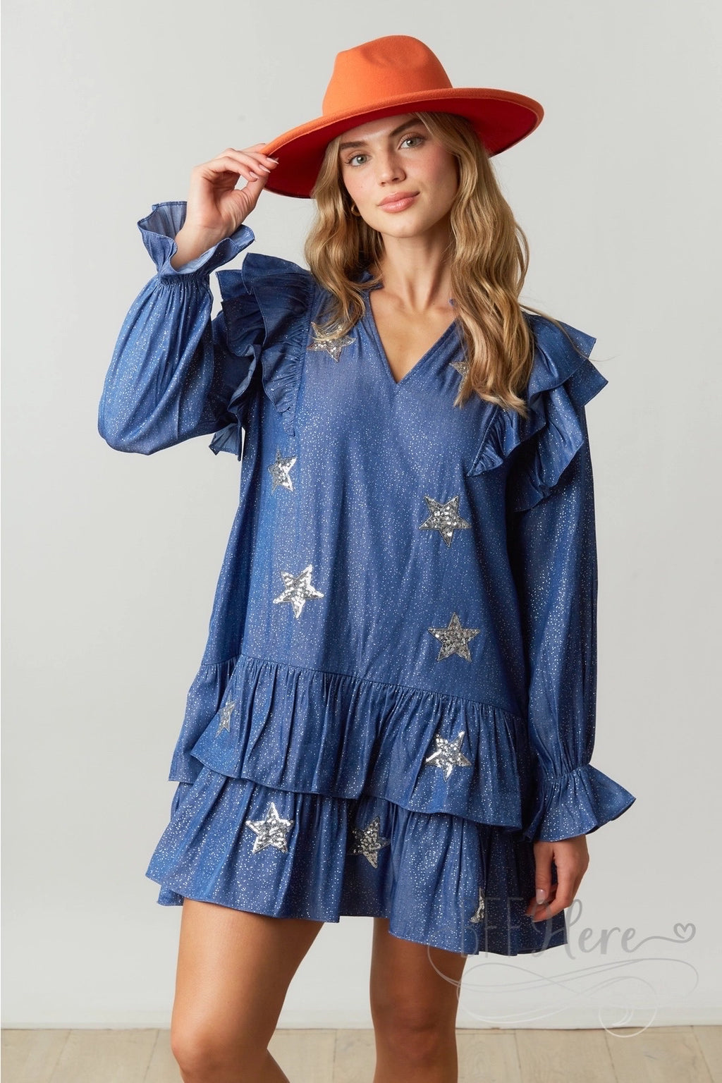 Glistening Starlight Chambray Dress with Delicate Ruffle - BFF Here