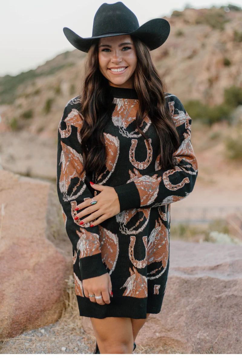 The Ruidoso Sweater Dress by Sterling Kreek - BFF Here