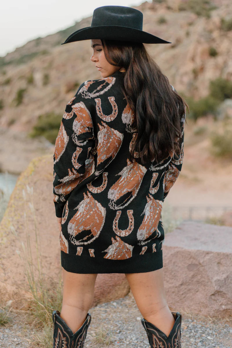 The Ruidoso Sweater Dress by Sterling Kreek - BFF Here