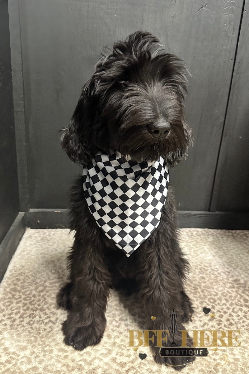 Round The Track Wildrag / Mini by Sterling Kreek - BFF Here