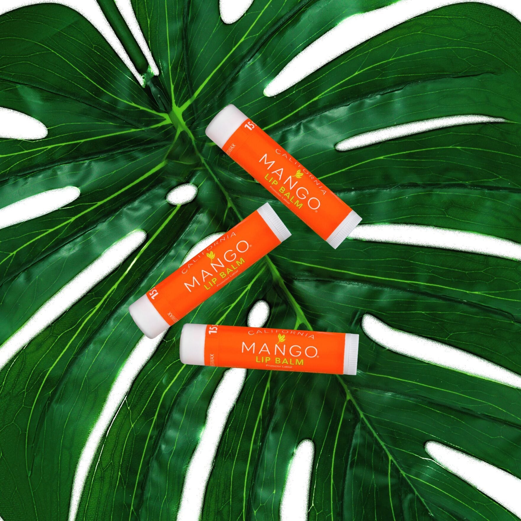 It's the Balm! 3-Pack Lip Balm - BFF Here