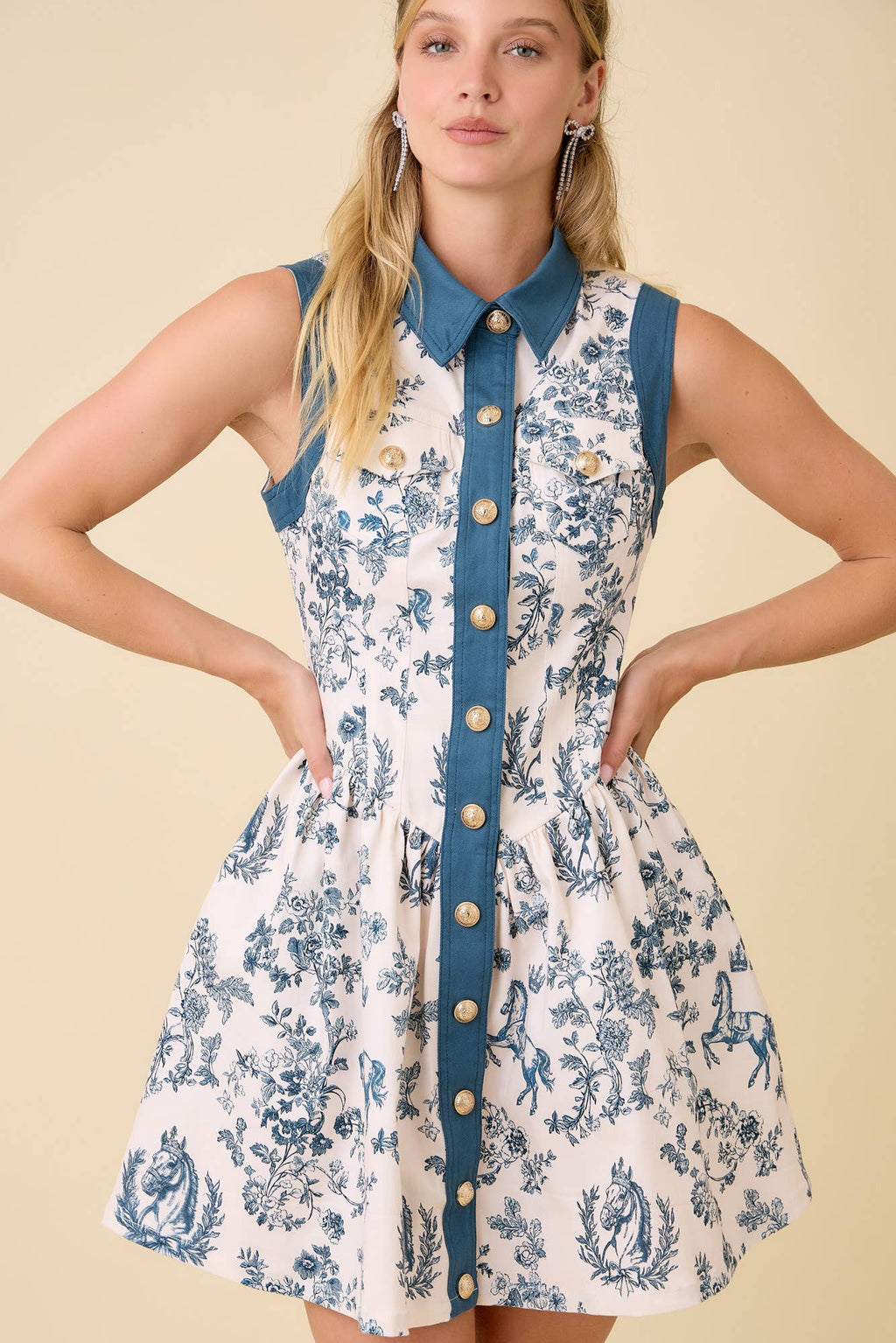 Vintage Horse Toile Print Denim Mini Dress - BFF Here