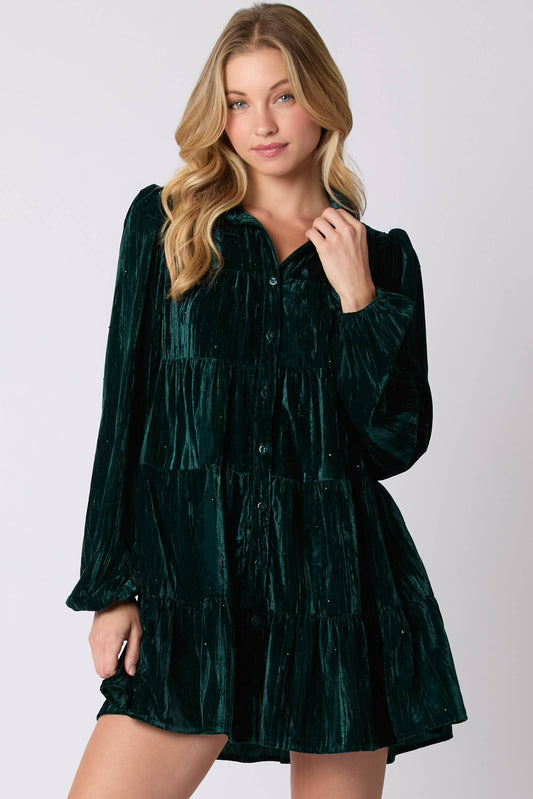 Forest Velvet Dress - BFF Here