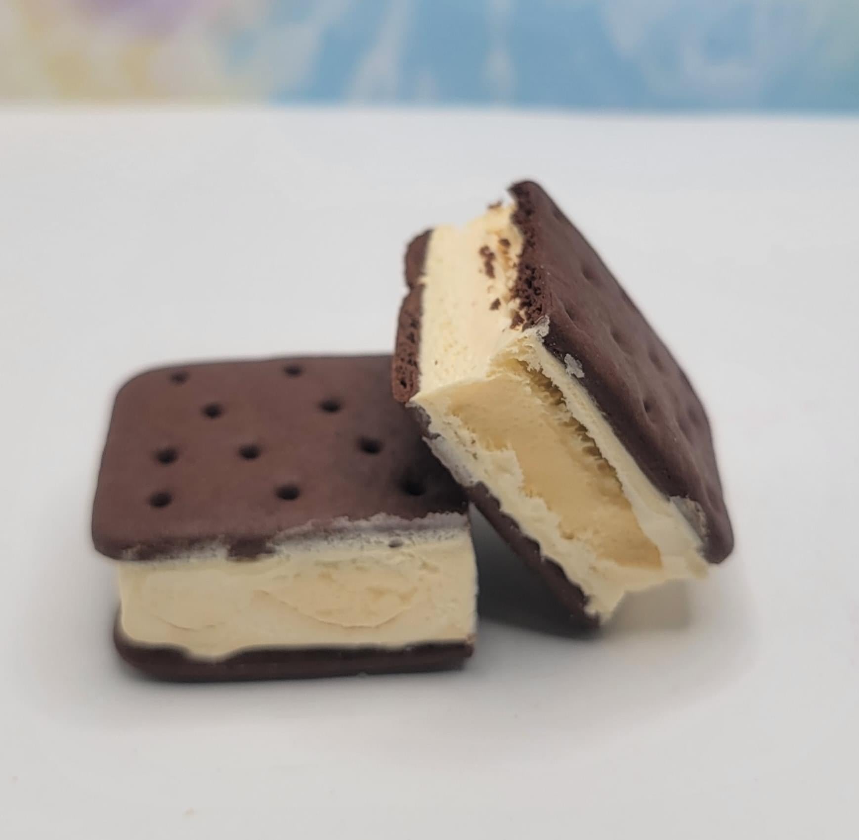 Freeze Dried Ice Cream Sandwich - BFF Here