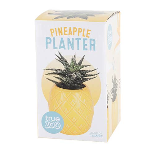 ceramic pineapple planter Pineapple Planter