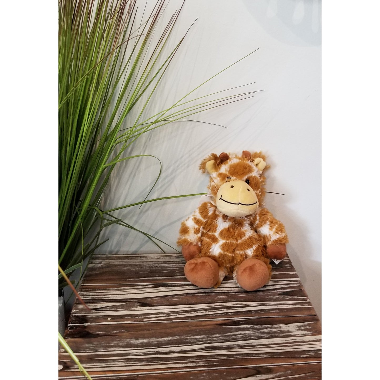 Warmies® Cozy Plush Junior-- Choice of Soft Toy - BFF Here