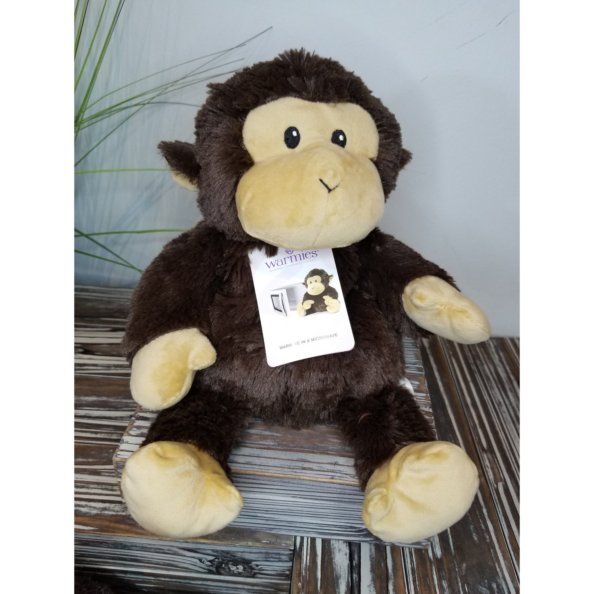 Warmies® Cozy Plush -- Choice of Soft Toy - BFF Here