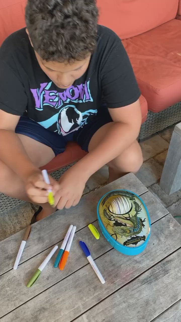 DinoMazing Egg Decorator