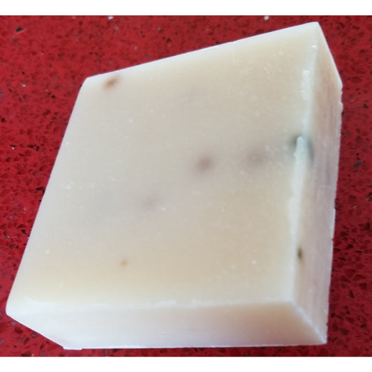 Eucalyptus Aloe -- Handmade Soap - BFF Here