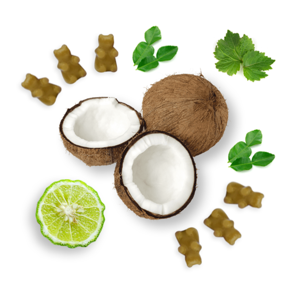 Happy Wax Soy Melts --  Bronzed Coconut - BFF Here