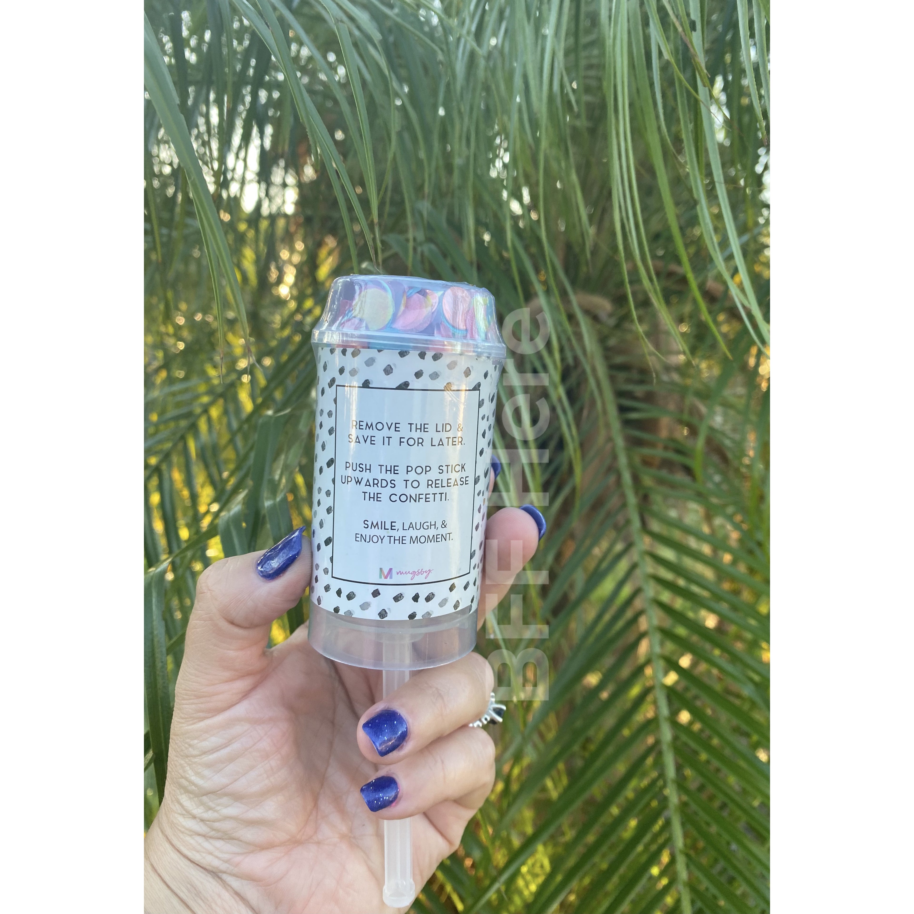 Let's Celebrate, Bitches Confetti Push Pop - BFF Here