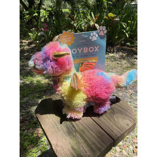 Rainbow Dragon Plush Dog Toy - BFF Here