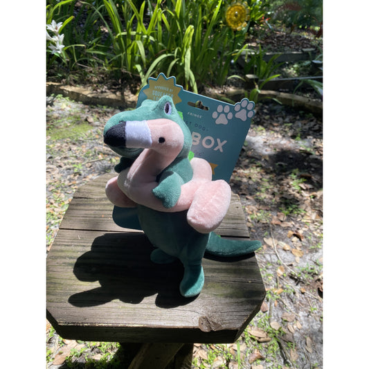 Pool Time Rex Dog Toy - BFF Here