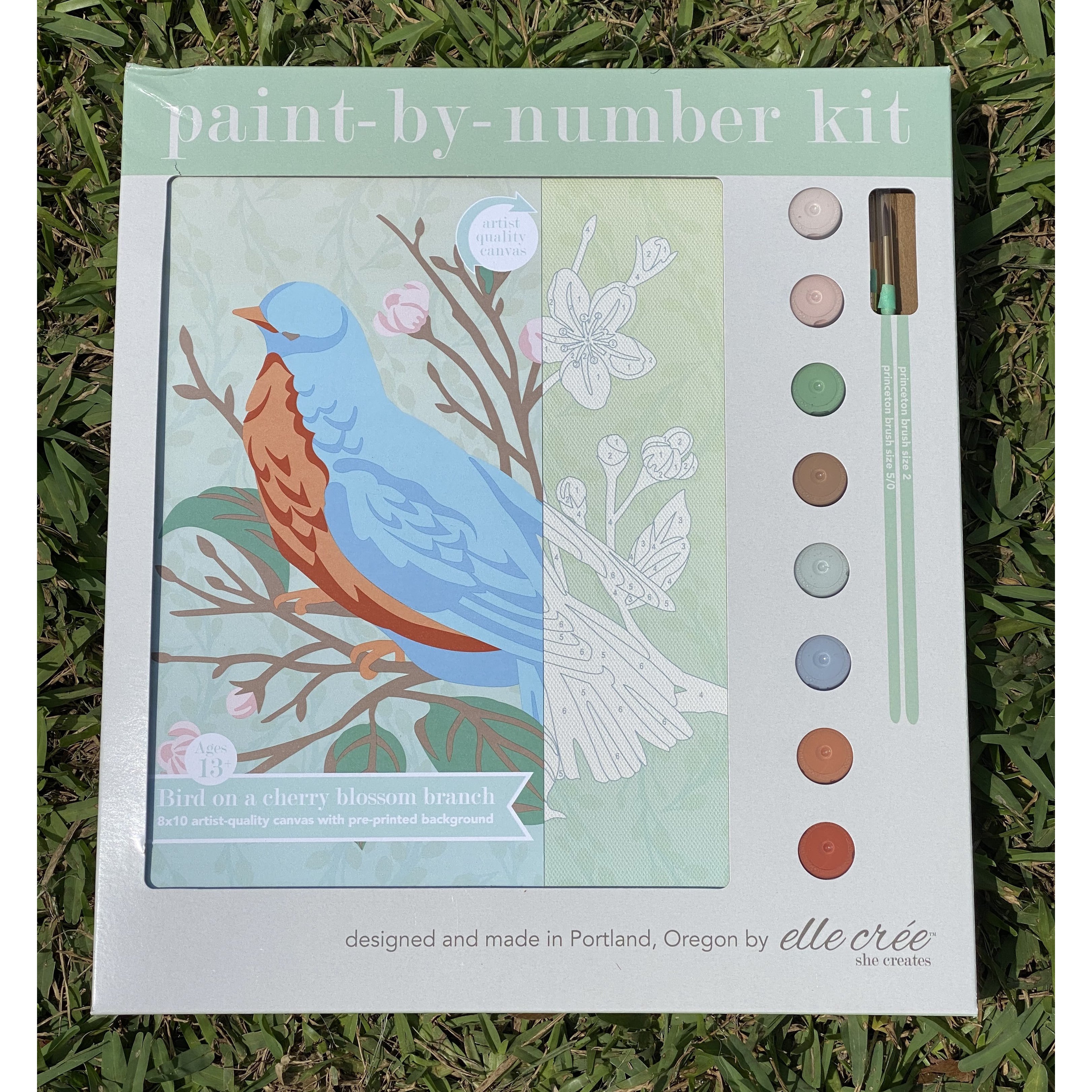 Bird on a Cherry Blossom Branch Paint-by-Number Kit - BFF Here