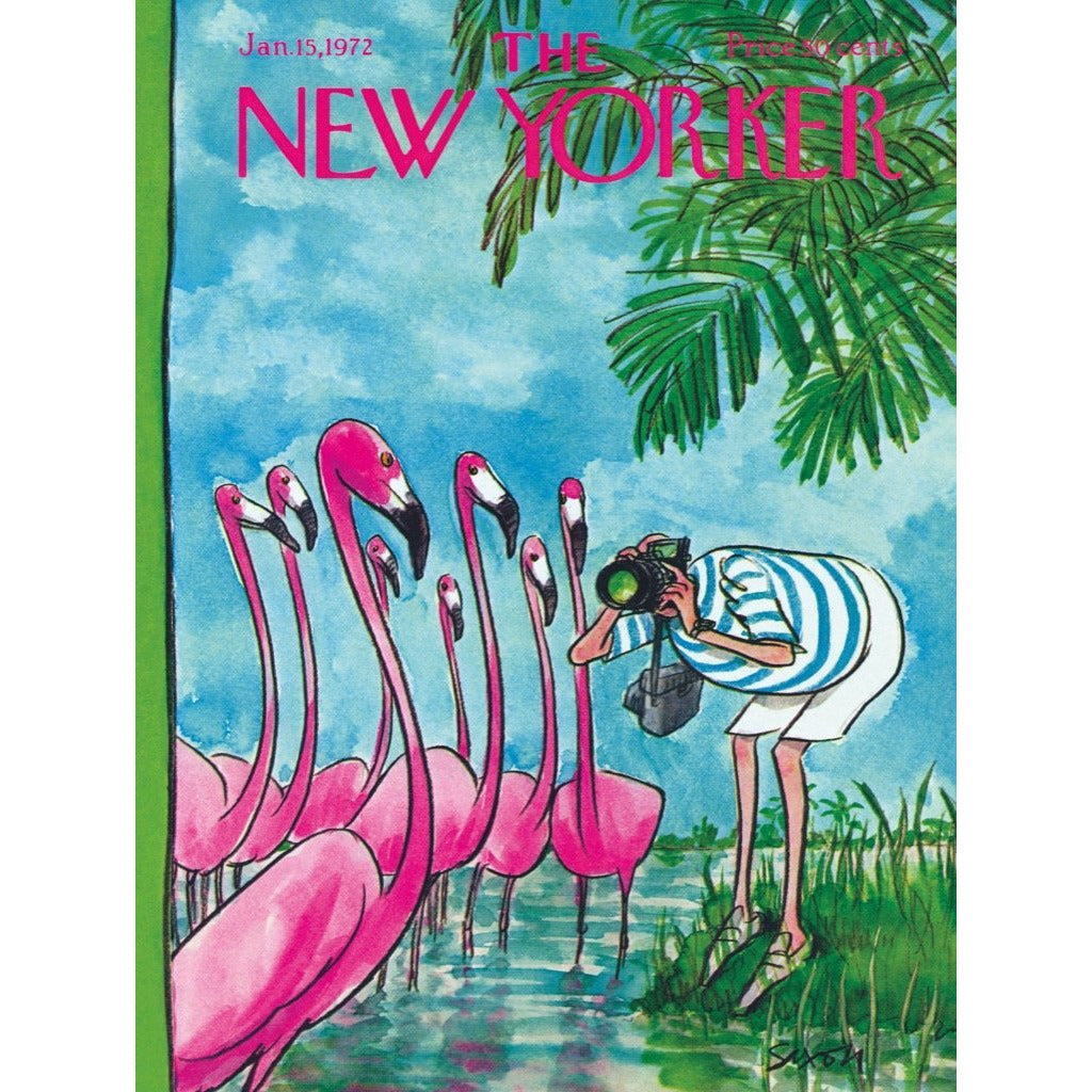 Flamingo Photographer Puzzle - BFF Here