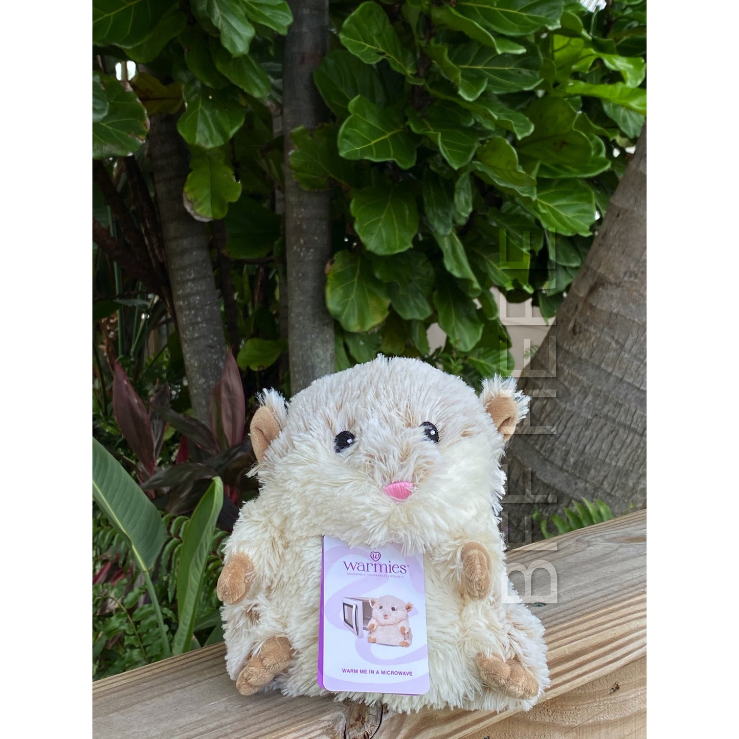 Warmies® Cozy Plush -- Choice of Soft Toy - BFF Here