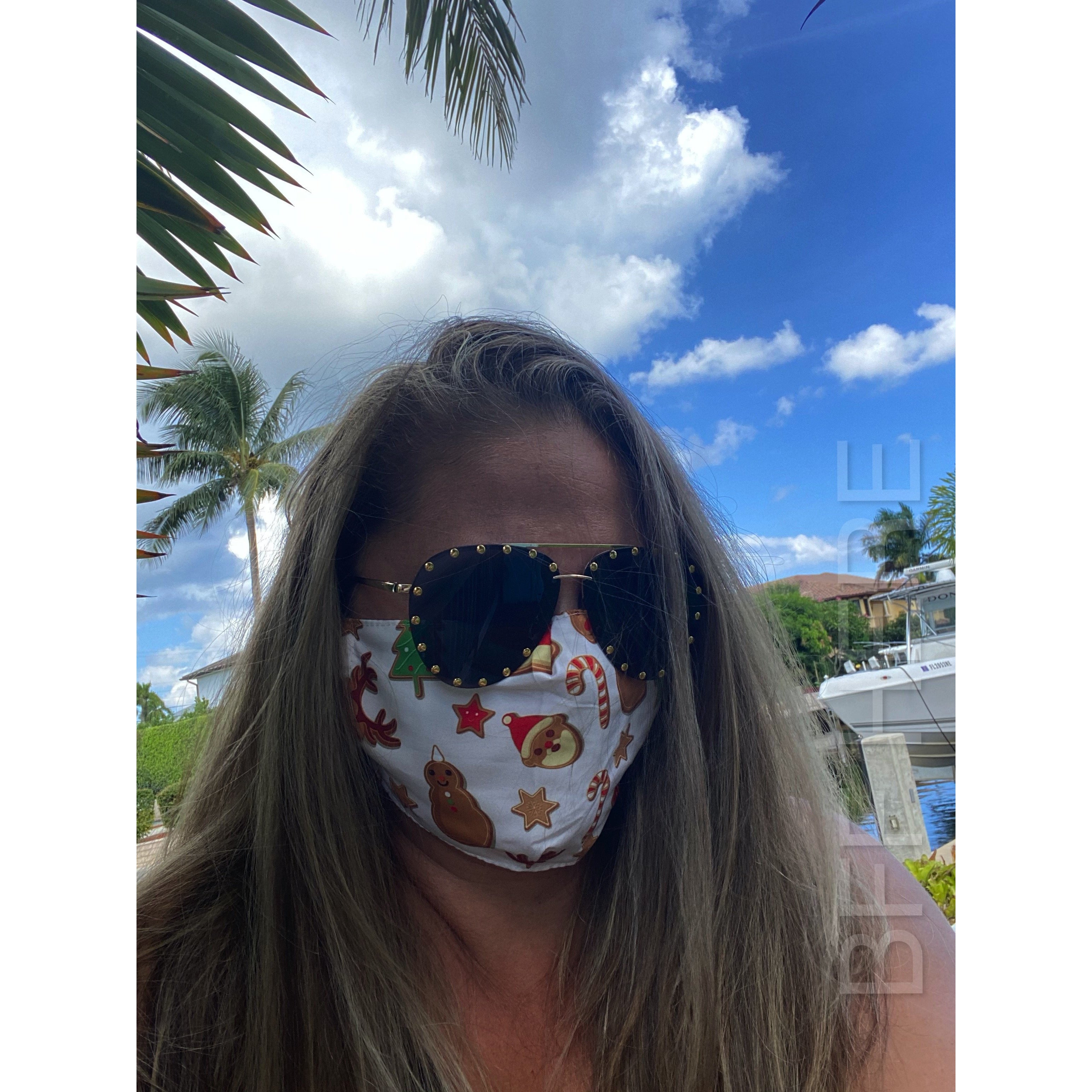 Christmas Sweets Adjustable Face Mask - Adult - BFF Here