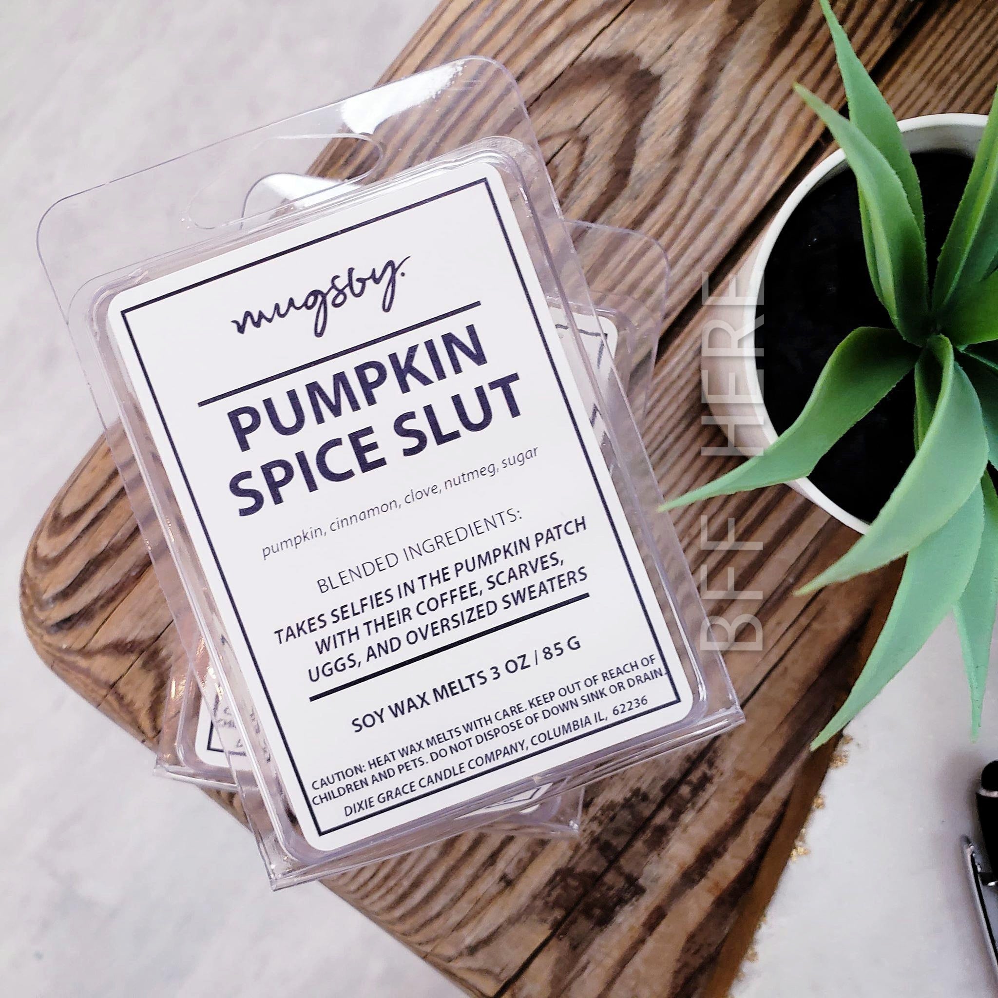 Pumpkin Spice Slut Fall Wax Melt - BFF Here