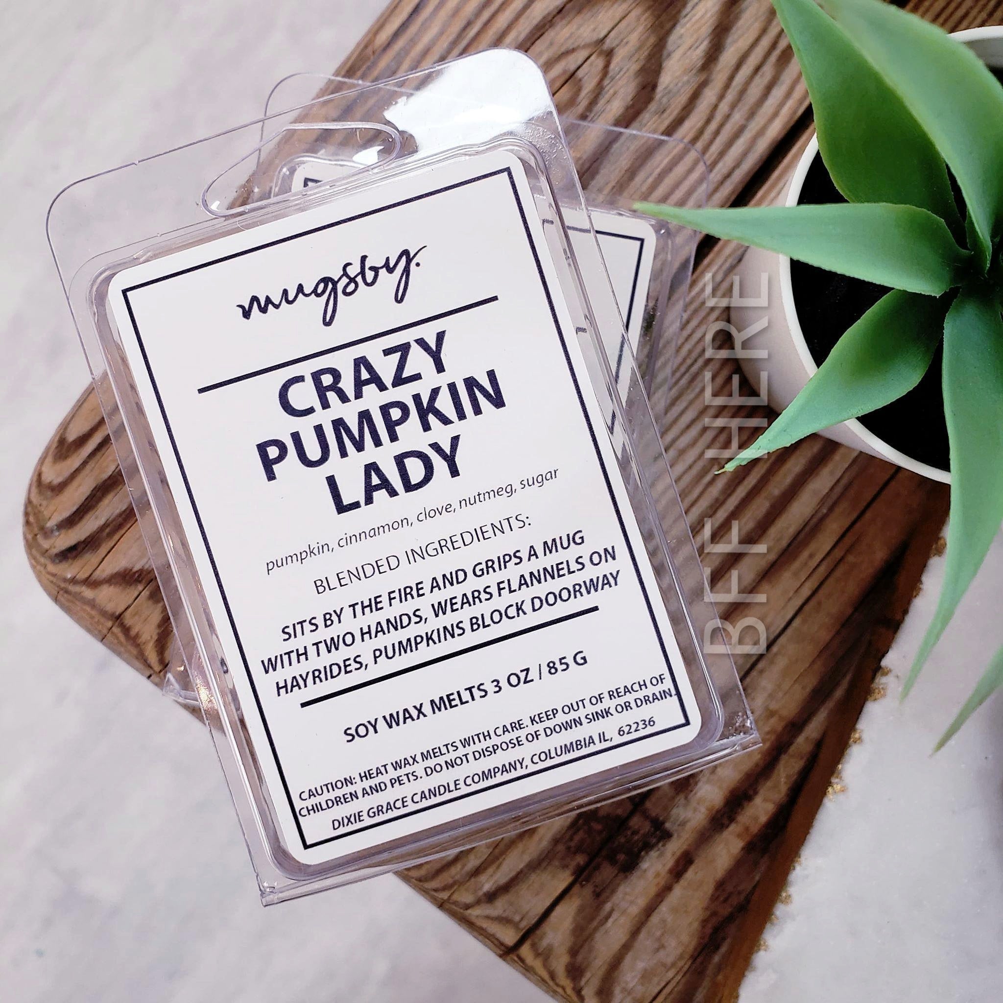 Crazy Pumpkin Lady Wax Melt - BFF Here