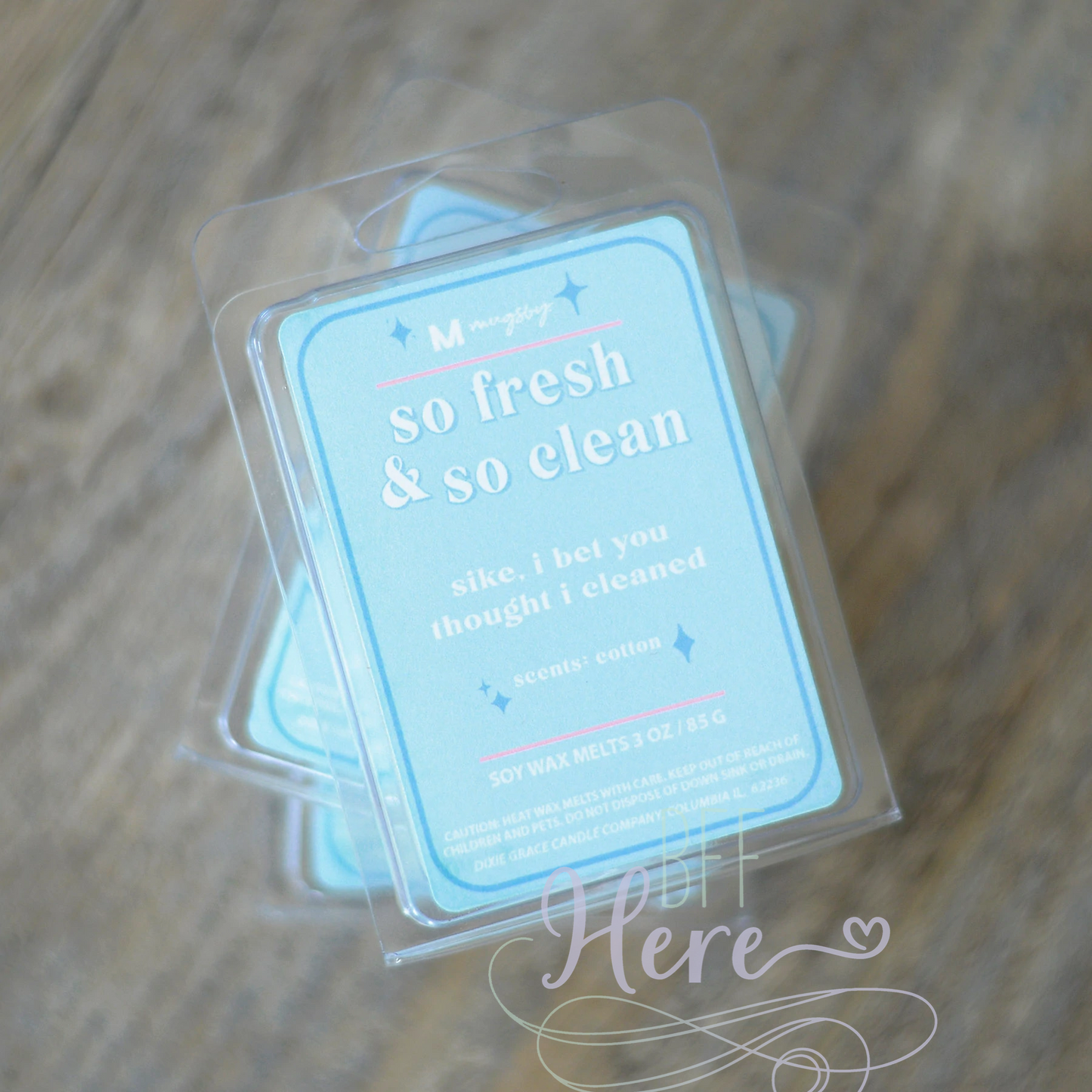 So Fresh and So Clean Funny Wax Melt - BFF Here