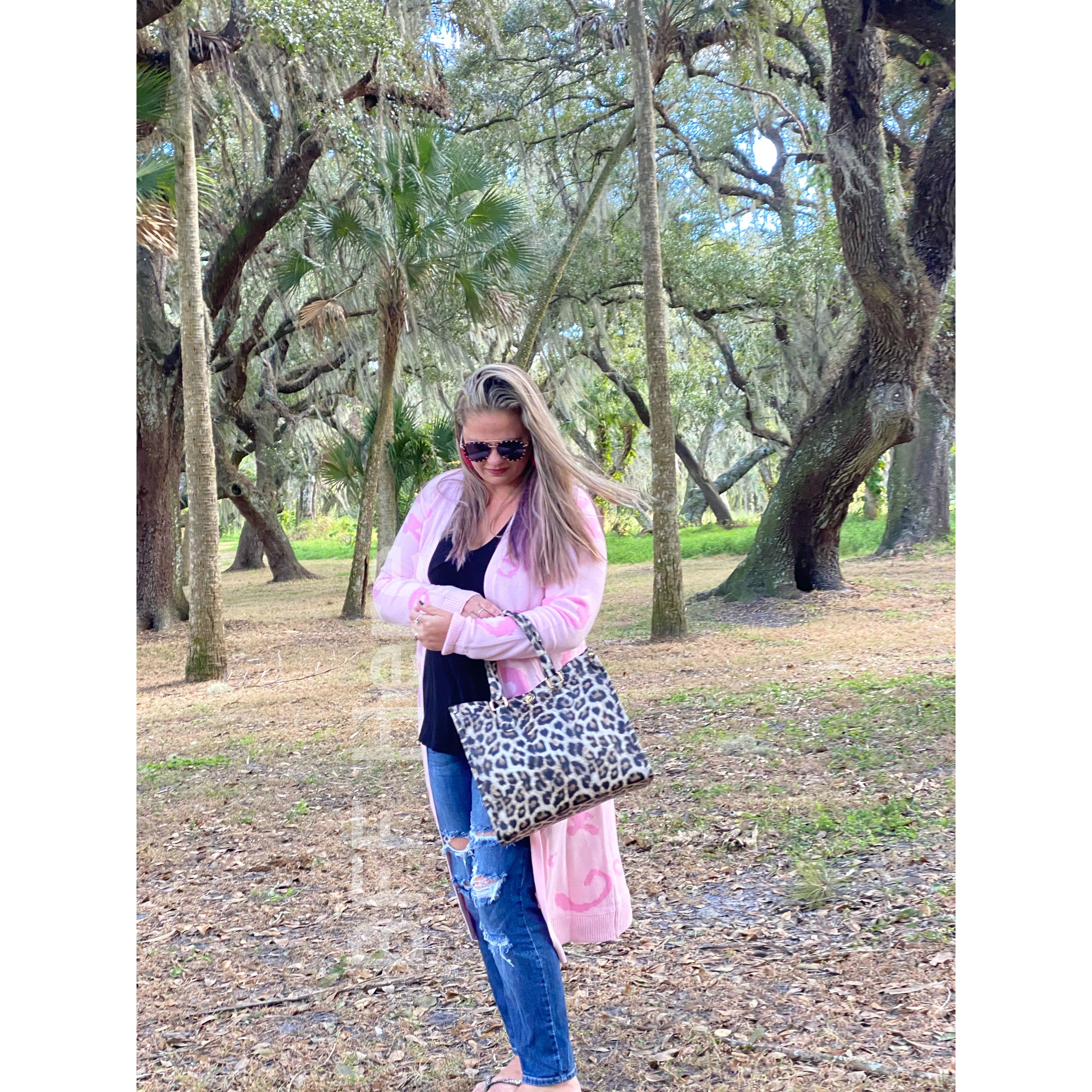 Emerson Leopard Handbag - BFF Here