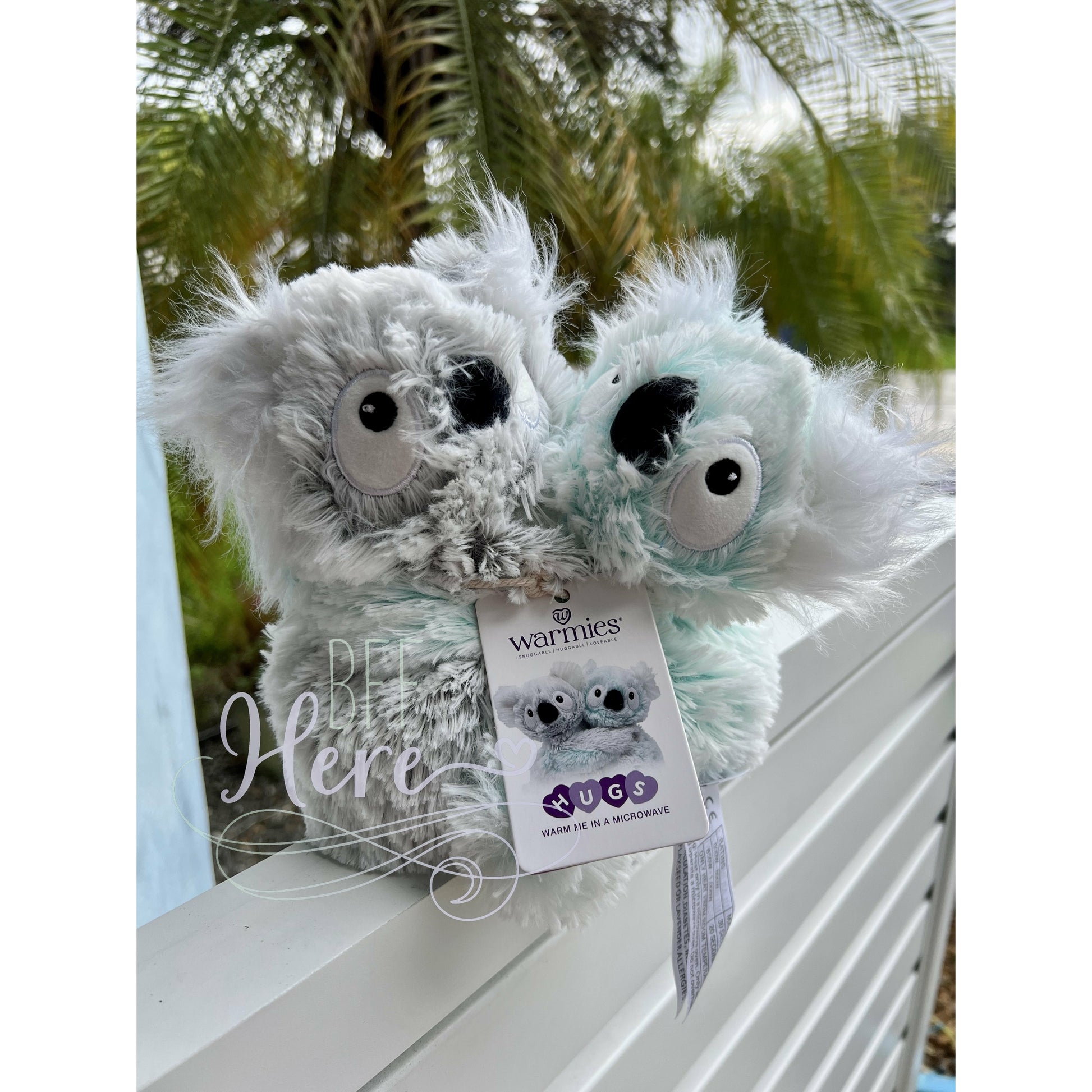 Warmies® Hugs -- Koala - BFF Here