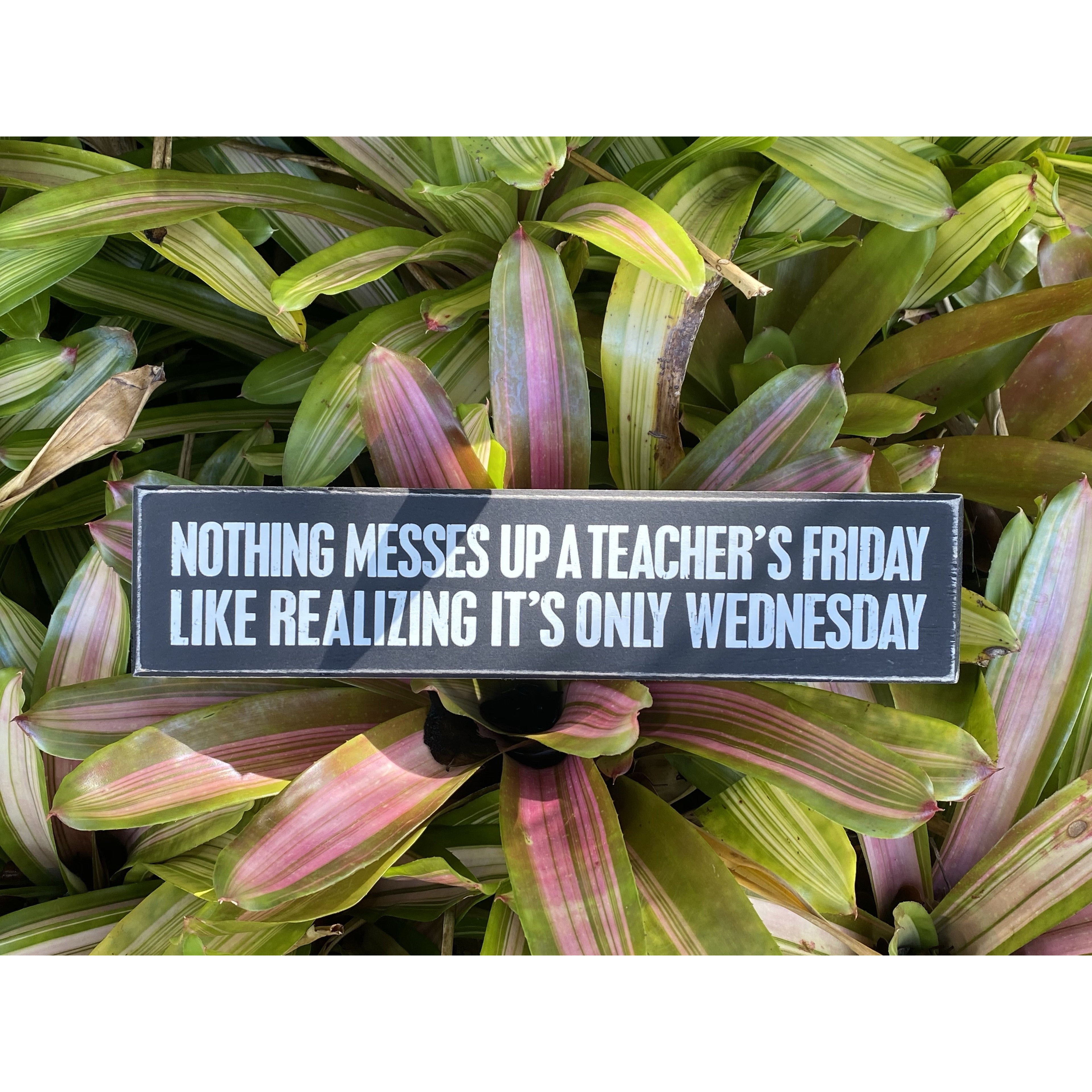 "it's Only Wednesday" Box Sign by PBK - BFF Here