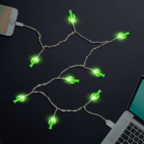 Cactus LED iPhone Charger - BFF Here